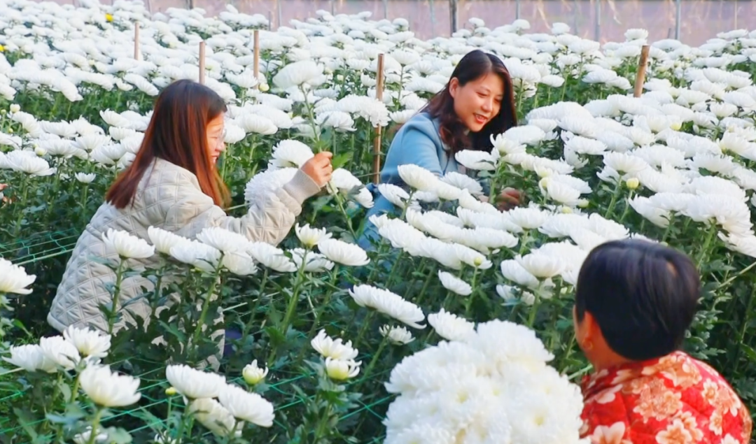 �F�ǅ^(q��)���ջ������M�ء���