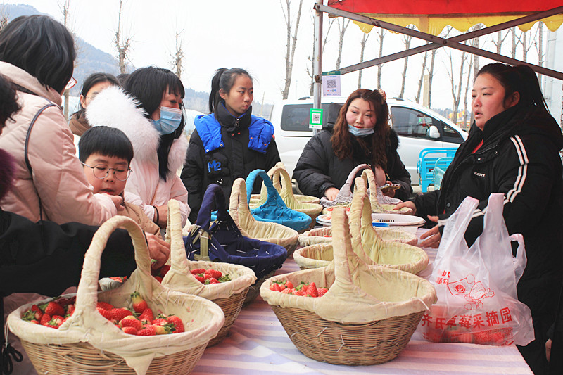 ��ݮ�h��c�´� | ���f�(zh��n)��ɽ�ڲ�ݮ��ժ��Ȥ���������w�(y��n)�e����ζ