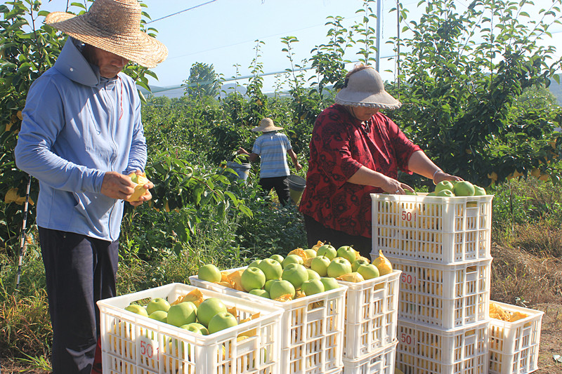 ��óԣ����Ѕ^(q��)ǰ�����@�����@������������