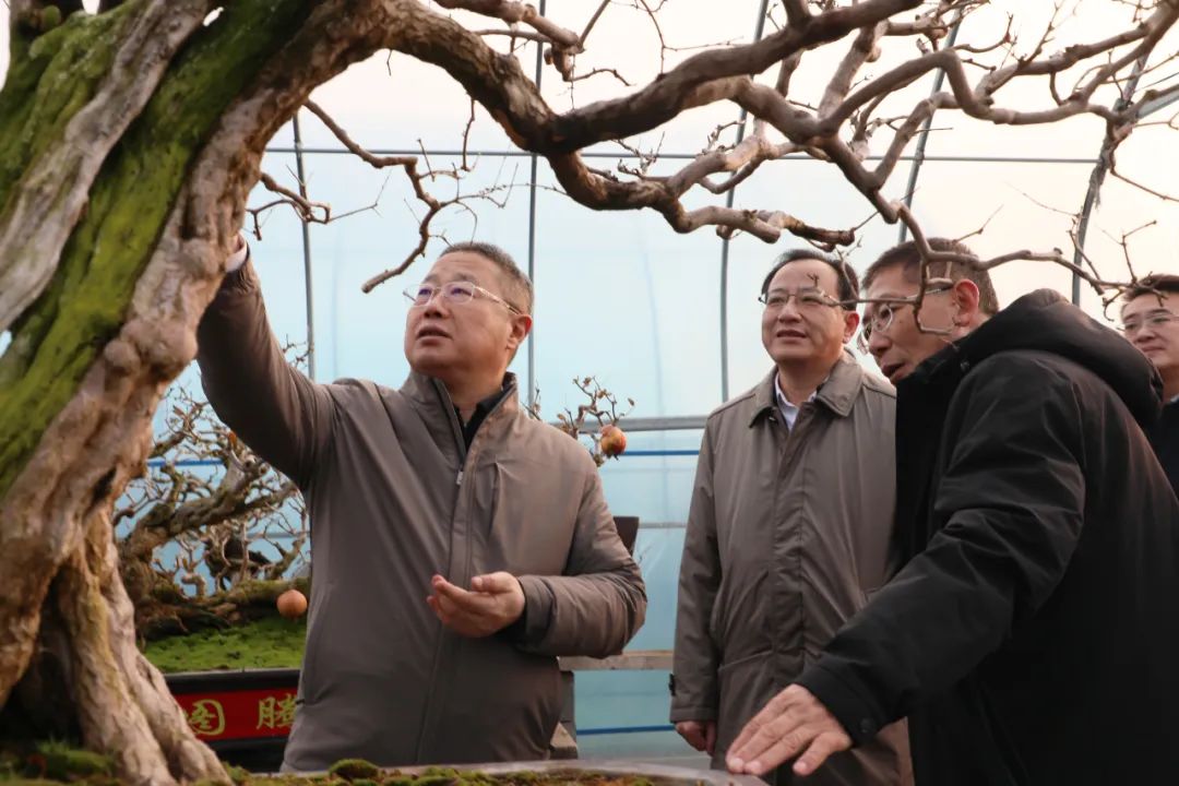 ���f��ί����ӛ������ί��ӛ����(gu��)�ށ�(l��i)�F�ǅ^(q��)�{(di��o)��ʯ��a(ch��n)�I(y��)�l(f��)չ����