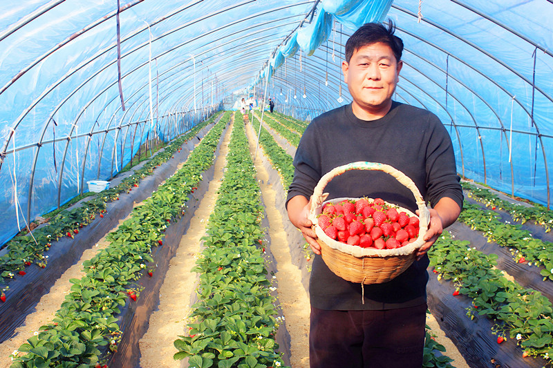 2025��ɽ�|��ݮ�a(ch��n)�I(y��)���(hu��)�A�M���_�����f���R�ϲ�ݮ�@��ժ�ý�(ji��ng)